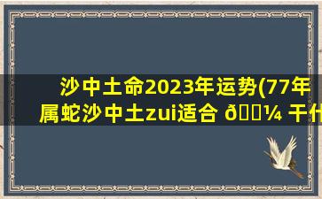 沙中土命2023年运势(77年属蛇沙中土zui
适合 🐼 干什么)